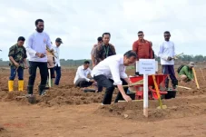 Dampak Proyek Tebu Merauke Terhadap Kehidupan Ekosistem Hutan Papua di Era Jokowi