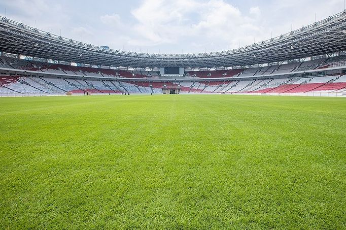 Rumput Stadion GBK