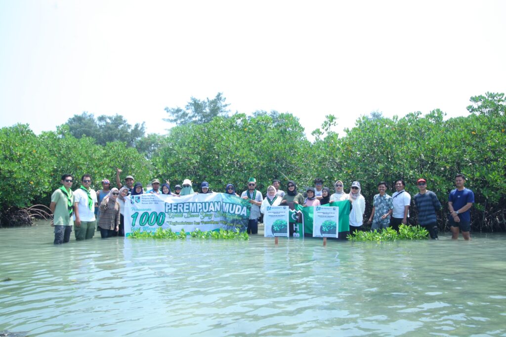 Kohati PB HMI Tanam 1000 Pohon Mangrove dalam rangka memperingati Hari Sumpah Pemuda