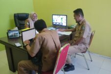 Elektronik kepulauan sula