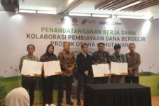 Pemkab Luwu Timur Gandeng BPDLH dan Mars untuk Petani Kakao