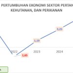Sektor Pertanian Luwu Timur Siap Jadi Motor Baru Pertumbuhan Ekonomi