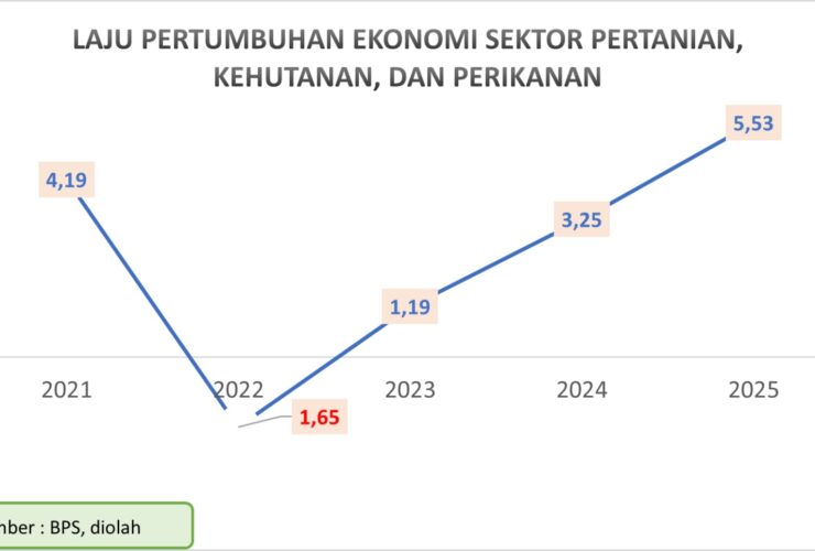 Sektor Pertanian Luwu Timur Siap Jadi Motor Baru Pertumbuhan Ekonomi