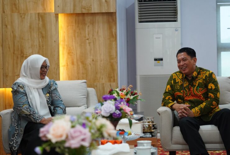 Pemkab Luwu Timur Siap Dukung Sensus Ekonomi 2026