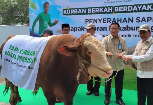 Gibran Serahkan Sapi Kurban 916 Kg ke Baznas