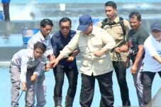 Prabowo Tinjau Panen Raya Udang di Kebumen