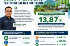 Ekonomi Non-Tambang Luwu Timur Tumbuh 13.87 Persen