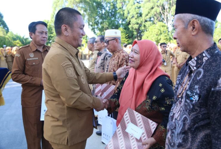 Bupati Luwu Timur Serahkan SK Pensiun kepada 14 ASN